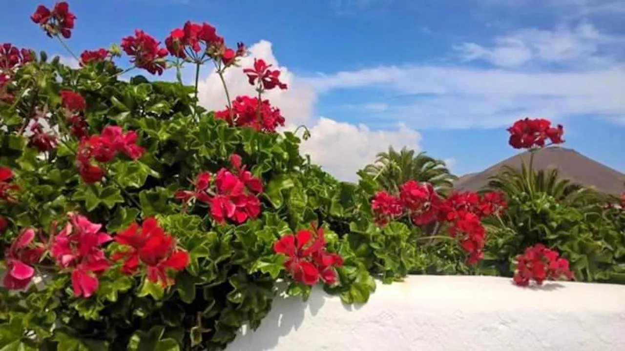 Villa Cozy House In El Golfo + Terrace 0*,